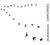 birds fly icon vector... | Shutterstock .eps vector #1349159051