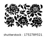 roses  peonies  chrysanthemums... | Shutterstock .eps vector #1752789521