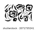 collection of hand drawn... | Shutterstock .eps vector #2071735241