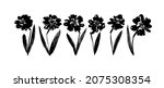 daffodil or narcissus flower... | Shutterstock .eps vector #2075308354