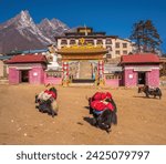 Small photo of Loaded yaks passing in front of the Tengboche Monastery