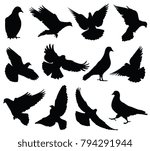 flying dove vector silhouettes...