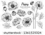Collection Set Of Poppy Flower...