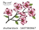 pink dogwood flower and leaf... | Shutterstock .eps vector #1607383867