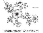 wild rose flowers drawing and... | Shutterstock .eps vector #644246974
