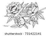 hand drawing and sketch peony... | Shutterstock .eps vector #731422141