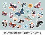 moths  butterflies and flowers... | Shutterstock .eps vector #1894271941