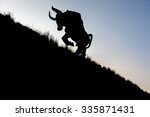 Silhouette of a bull ramping up ...