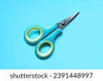 Small photo of "Versatile Cutting Tool: Trusty Shears"
