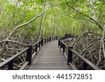 Small photo of Wood passage way into mangrove forest (Trees include Rhizophoraceae, Ceriops, tagal, decandra, apiculata, meliaceae, xylocarpus, moluccensis, Rhizophora, apiculate, Ceriops, Combretaceae, lumnitzera)