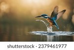 Kingfisher flies over a lake of water and the water moves in a yellowish background