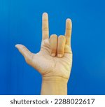 Small photo of A male hand shows a rabbit or playboy symbol sign using his three fingers on blue isolated background.