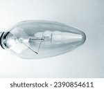 Oval and transparent light bulb isolated on white background