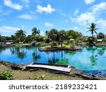 Small photo of Grand Cayman, Cayman Islands - July 30, 2022: Turtle Lagoon of Cayman Turtle Centre (former Turtle Farm) in West Bay of Grand Cayman Island. Area of swim and snorkel with green sea turtles and fishes