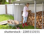 Preparing firewood for the cold season. A young girl with a wheelbarrow of firewood. A woman stacks firewood from a woodpile into a wheelbarrow. Wood heating concept and energy crisis