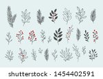 Hand Drawn Vector Winter Floral ...