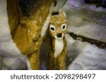 Small photo of Lacock, Chippenham,UK - December 16, 2018: Winter Wonderland display in Whitehall garden centre, near Lacock in Wiltshire, England.