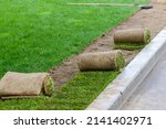 Small photo of Restoration of a lawn covering with the help of a rolled lawn. Real grass in peat rolls. Quick way to improve the territory.