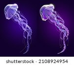 3d Jellyfish Or Sea Jelly...