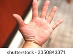 Small photo of See palmistry of a man's large palm
