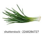 Young green onion isolated on white background with clipping path. Full Depth of field. Focus stacking. 