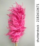 Pink Feather Duster With Brown...