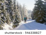 Cross-country skiers running a groomed ski trail. Road in mountains at winter in sunny day. Trees covered with hoarfrost illuminated by the sun. Jizera Mountains, Czech Republic.  