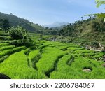 Small photo of rice terraces. a beauty created from hereditary culture