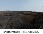 Small photo of Multiple wildfires broke out across Italy in the summer of 2021. Starting on 24 July, the Montiferru area, in Oristano province, was hit by a wildfire.