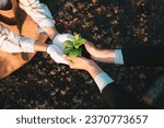 Small photo of Eco-business company empower farmer with eco-friendly farming practice and clean agricultural technology. Cultivate sustainable future nurturing plants to grow and thrive. Gyre