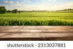 Small photo of The empty wooden brown table top with blur background of farmland and blue sky. Exuberant image.