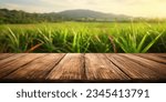 Small photo of The empty wooden brown table top with blur background of sugarcane plantation. Exuberant image.