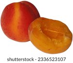 Two succulent peaches rest gracefully on a pristine white canvas, their velvety skins exuding a luscious sweetness. The rich hues of orange and blush pink intermingle