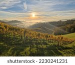 Sunset over vineyards in autumn, view above hills
