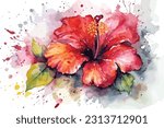 watercolor hibiscus flower ...