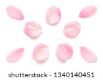 Japanese pink cherry blossom petal isolated on white background