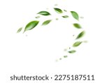 Small photo of Green Floating Leaves Flying Leaves Green Leaf Dancing, Air Purifier Atmosphere Simple Main Picture on white background
