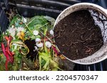 Earthworms and compost bin....