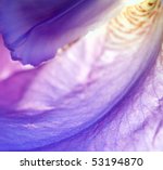 Iris A Background. Abstraction. ...