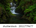 Quinault Rain Forest Secluded...