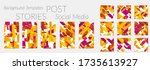 social media story templates.... | Shutterstock .eps vector #1735613927