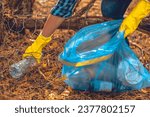 Small photo of A woman conservationist collects garbage in the forest. A woman with a blue garbage bag in her hands collects plastic waste in the forest. A woman saves the forest from being polluted by garbage.