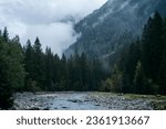 Small photo of Moody atmosphere during a rainy and foggy day near the river of Val di Genova, Trentino Alto Adige, Northern Italy