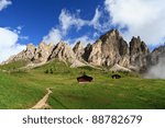 summer landscape of Cir group from Gardena pass, Italian Dolomites