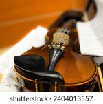 Small photo of instrument violin and violin bow violin in box