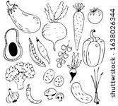 vegetables isolated on white... | Shutterstock .eps vector #1638026344