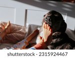 dog licking barefoot of the small children in the bed