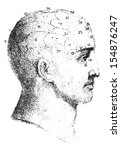 Type Cranial Given By Spurzheim ...