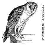 Owl  Vintage Engraved...