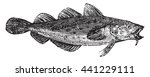 Cod Fish Or Gadus Spp. From...